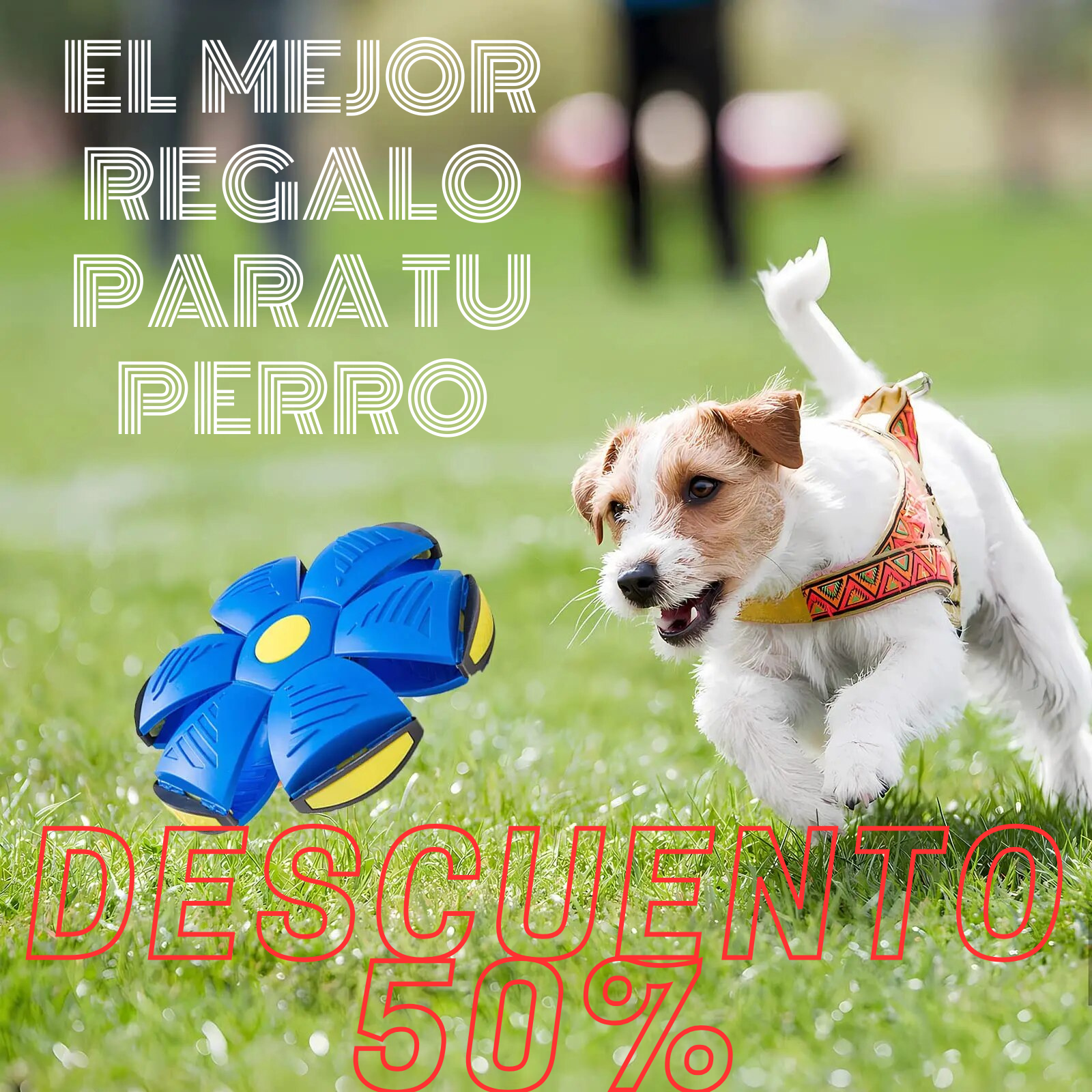 Pelota Voladora Con Luces Mascotas - Flyball™